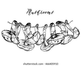 Autumn harvest, mushrooms, vector, handmade,Coloring book page design for kids and adults