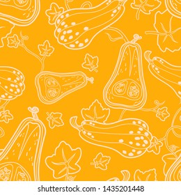 Autumn harvest. Orange big long squash. Half of pumpkin with seeds. Green leaves on vines. Seamless background with pattern.