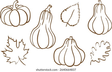 autumn harvest outline illustrations vector set of fall pumpkins and leaves simple seasonal graphic elements for decorative designs