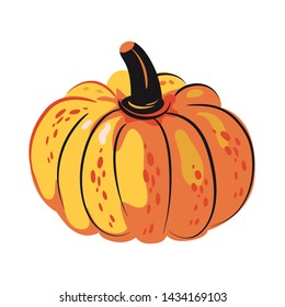 Autumn harvest pumpkin berries. Healthy ecological food, organic farming. Ingredient, vegetarianism, pumpkin seeds. Dietary nutrition