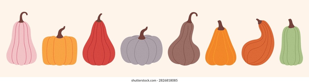 Autumn harvest pumpkin element set with various flat gourd shapes for design.