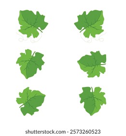 Autumn Harvest: Pumpkin Leaf Vector Illustration