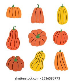 Autumn Harvest Pumpkin and Squash. A set of 9 unique pumpkin and squash icons with various shapes and textures, perfect for adding a festive autumn touch to your designs