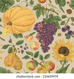 Autumn harvest. Pumpkin, sunflower, nuts and fruit on a gray background. Vector seamless vintage pattern.