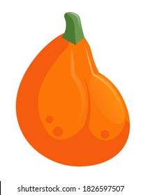 Autumn harvest pumpkin vector single object illustration isolated on white background
