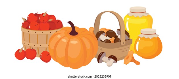 Autumn harvest of pumpkins, apples, mushrooms basket, honey. Vector clipart ,white background.