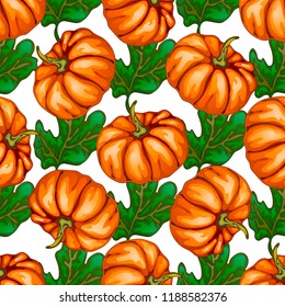 Autumn harvest. Pumpkins. Vector illustration on a white background executed in a realistic style. Vector plant for background, texture, wrapper pattern, frame or border.