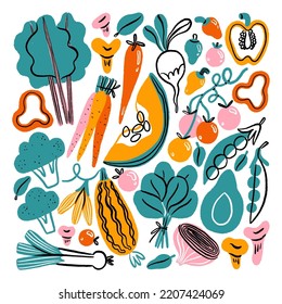 Autumn harvest season, hand drawn print with fresh vegetables and greens, vitamin boost, vector illustrations clip art, isolated on white background