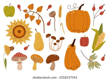 Autumn harvest set. Collection of ripe delicious vegetables, fresh fruits, berries, mushrooms, late flowers.