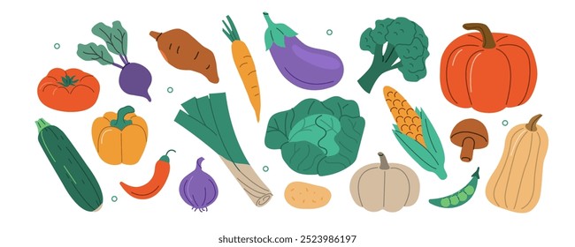 Autumn harvest set. Collections of pumpkin, squash, apple, cabbage and other types of vegetables. Vector illustration.