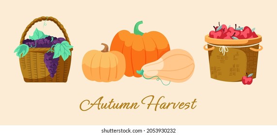 Autumn harvest. Set of farm food: apple, pumpkin, grape in wicker baskets.Concept elements for healthy organic food, diet, festival, market. Thanksgiving. Vector illustration. Cartoon style.