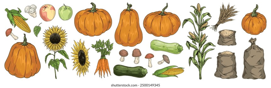 Autumn harvest set logotypes colorful with organic fruits and vegetables or grains from farmer fair vector illustration