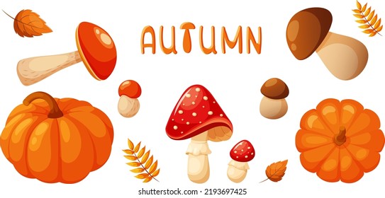Autumn harvest set, mushrooms and pumpkin, fly agaric, aspen, boletus