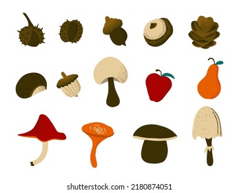 Autumn Harvest Set, Nut, Chestnut, Fruits, Mushrooms, Acorn. Doodle Vector Illustration 