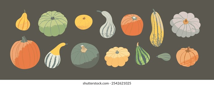 Autumn Harvest set. Pumpkin, squash and gourd in different colors and shapes. Illustration of seasonal vegetables on dark background in vector