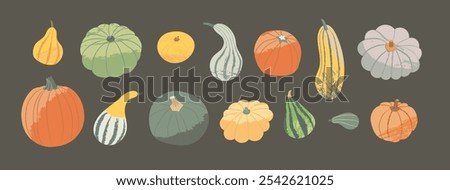 Autumn Harvest set. Pumpkin, squash and gourd in different colors and shapes. Illustration of seasonal vegetables on dark background in vector