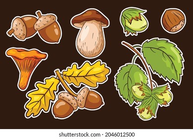 Autumn Harvest Sticker Set. Oak leaves, acorns, hazelnut, mushrooms. Collection of forest decorative elements for prints, invitation and greeting cards design and decoration. Premium Vector