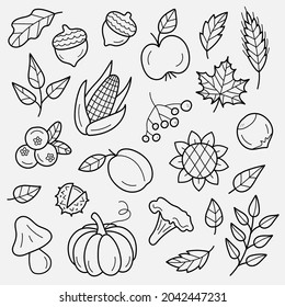 Autumn harvest symbols. Set of autumn elements: leaves, berries, fruits, vegetables, mushrooms, acorns. Hand-drawn, sketch. Vector illustration in doodle style.