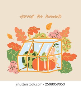 Autumn harvest various pumpkins and leaves hand drawn cute simple illustration composition. Modern clip art poster for children books, stationery, banners and social media