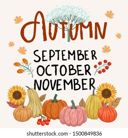 Autumn harvest. Various shape of pumpkins and lettering. Autumn leaves, berries and sunflowers. Design for greetings card, banner or flyer. Typography composition for Thanksgiving Day or festival.