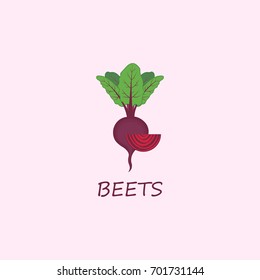 Autumn harvest. Vector beets isolated on background. Red beetroot whole, sliced. Natural healthy food.