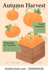Autumn harvest vector card design. Veggie pumpkin packaging concept. Vector pumpkin cartoon illustration. Healthy organic natural food for autumn farm market design.