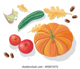 Autumn harvest vector concept. Flat design. Set of ripe vegetables and fallen leaves. Pumpkin, apple, zucchini, acorns. Healthy vegetarian organic food. Illustration for plant farm, grocery store ad