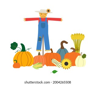 Autumn harvest vector illustration. Cartoon scarecrow in denim overalls, orange pumpkins, wheat sheaf, sunflower isolated on white background. Thanksgiving day card.