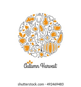 Autumn harvest vector set. Fresh vegetables illustration in line style. Farm nature healthy food. Organic fall banner. 