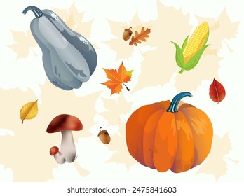 Autumn harvest vector set. Autumn harvest of mushrooms pumpkins and corn an transparent background.