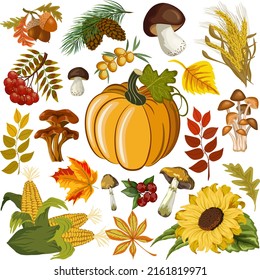 Autumn harvest in vector set.Autumn harvest of mushrooms, vegetables and berries in a large vector set on a transparent background.