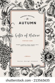 Autumn harvest. Vector vintage card. Frame with flowers, fruits, nuts and pumpkin. Black and White.