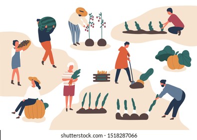 Autumn harvesting flat vector illustrations set. Farmers working in field. Fruits and vegetables crops fall season harvest collecting. Female and male farm workers, gardeners isolated characters.