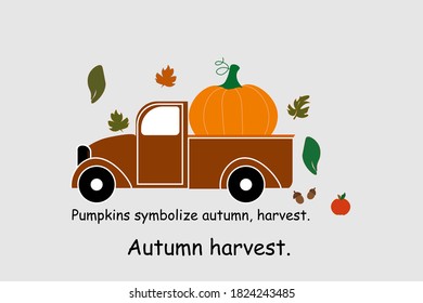 Autumn harvest.Pumpkins symbolize autumn, harvest.Vector illustration.