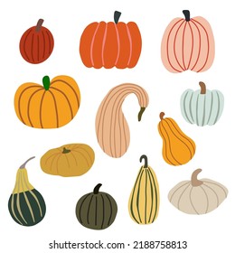 Autumn harvest.Vector set with hand-drawn pumpkins. Healthy lifestyle.