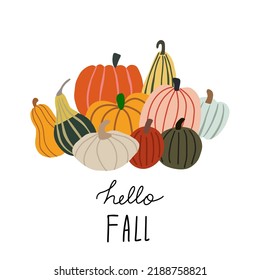Autumn harvest.Vector set with hand-drawn pumpkins. Healthy lifestyle.