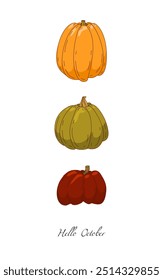 Autumn harvest.Vector set with hand-drawn pumpkins. Healthy lifestyle.