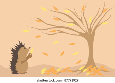 Autumn hedgehog