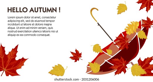 Autumn hello, poster or banner with decorative foliage and leaves, umbrella and windy weather. Dry leafage and text sample, seasonal offers and clearance advertisements. Vector in flat style