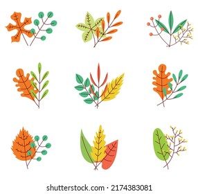 Autumn herbarium leave isolated design element set. Vector graphic design illustration