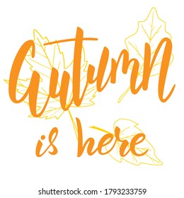Autumn is here brush hand lettering text isolated with leaves for greeting card or banner. Modern calligraphy slogan, vector EPS 10