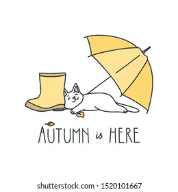Autumn is here. Doodle illustration of a sleeping white cat with rubber boots and an umbrella isolated on white background. Vector 8 EPS