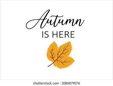 autumn is here hand drawn design 