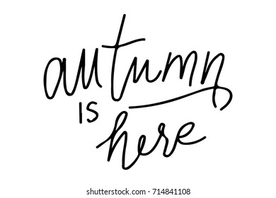 autumn is here. Hand lettering illustration for your design.