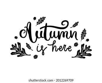 Autumn is here - hand-drawn text decorated with oak leaves and acorns. Black doodle design for t-shirt, cup, sticker, print, banner, bag, plotter cutting, etc.