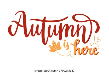 Autumn is here handwritten lettering phrase with yellow leaf symbol. Hand drawn calligraphy for seasonal vector art. Creative typography design for card, sticker, web banner or print. 