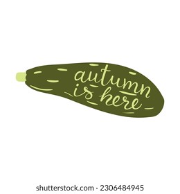 Autumn is here handwritten typography lettering quote, summer squash, zucchini hand drawn illustration. Flat style design, isolated vector. Summer, fall print element, sticker, badge, farming, harvest