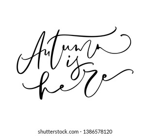Autumn is here lettering calligraphy text isolated on white background. Hand drawn vector illustration. Black and white poster design elements