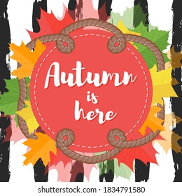 Autumn is here phrase on circle with maple leaf on striped background. Template poster fall season. Vector Illustration