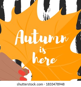 Autumn is here phrase on orange maple leaf in woman hand on striped background. Template poster fall season. Vector Illustration
